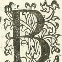 An illustration from Practycke der Nederlansche rechten, van de daghelijcksche soo civile als criminele questien (1645)