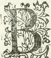 An illustration from Practycke der Nederlansche rechten, van de daghelijcksche soo civile als criminele questien (1645)