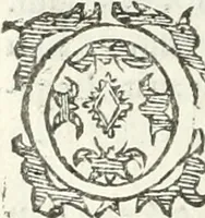 An illustration from Practycke der Nederlansche rechten, van de daghelijcksche soo civile als criminele questien (1645)