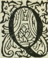 An illustration from Practycke der Nederlansche rechten, van de daghelijcksche soo civile als criminele questien (1645)