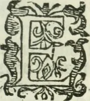An illustration from Practycke der Nederlansche rechten, van de daghelijcksche soo civile als criminele questien (1645)