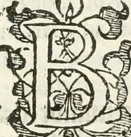 An illustration from Practycke der Nederlansche rechten, van de daghelijcksche soo civile als criminele questien (1645)