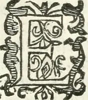 An illustration from Practycke der Nederlansche rechten, van de daghelijcksche soo civile als criminele questien (1645)