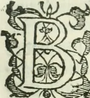 An illustration from Practycke der Nederlansche rechten, van de daghelijcksche soo civile als criminele questien (1645)