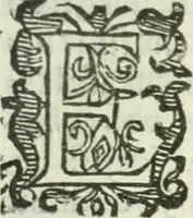 An illustration from Practycke der Nederlansche rechten, van de daghelijcksche soo civile als criminele questien (1645)