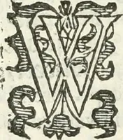 An illustration from Practycke der Nederlansche rechten, van de daghelijcksche soo civile als criminele questien (1645)