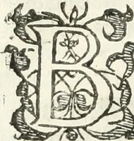 An illustration from Practycke der Nederlansche rechten, van de daghelijcksche soo civile als criminele questien (1645)
