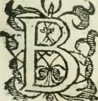 An illustration from Practycke der Nederlansche rechten, van de daghelijcksche soo civile als criminele questien (1645)