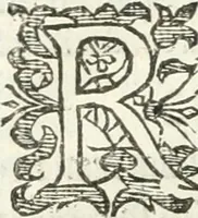 An illustration from Practycke der Nederlansche rechten, van de daghelijcksche soo civile als criminele questien (1645)