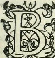 An illustration from Practycke der Nederlansche rechten, van de daghelijcksche soo civile als criminele questien (1645)
