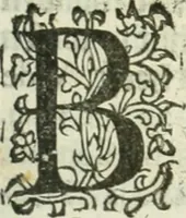 An illustration from Practycke der Nederlansche rechten, van de daghelijcksche soo civile als criminele questien (1645)
