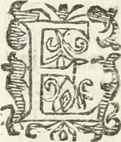 An illustration from Practycke der Nederlansche rechten, van de daghelijcksche soo civile als criminele questien (1645)