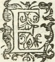 An illustration from Practycke der Nederlansche rechten, van de daghelijcksche soo civile als criminele questien (1645)