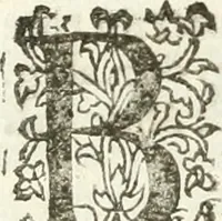An illustration from Practycke der Nederlansche rechten, van de daghelijcksche soo civile als criminele questien (1645)