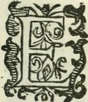 An illustration from Practycke der Nederlansche rechten, van de daghelijcksche soo civile als criminele questien (1645)