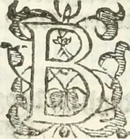 An illustration from Practycke der Nederlansche rechten, van de daghelijcksche soo civile als criminele questien (1645)