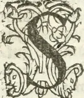 An illustration from Practycke der Nederlansche rechten, van de daghelijcksche soo civile als criminele questien (1645)
