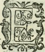 An illustration from Practycke der Nederlansche rechten, van de daghelijcksche soo civile als criminele questien (1645)