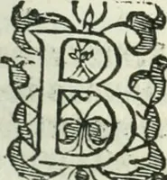 An illustration from Practycke der Nederlansche rechten, van de daghelijcksche soo civile als criminele questien (1645)