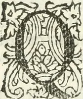 Picture 65 of 69 from Practycke der Nederlansche rechten, van de daghelijcksche soo civile als criminele questien (1645), leaf 797