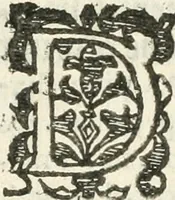 An illustration from Practycke der Nederlansche rechten, van de daghelijcksche soo civile als criminele questien (1645)
