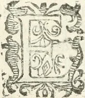 An illustration from Practycke der Nederlansche rechten, van de daghelijcksche soo civile als criminele questien (1645)