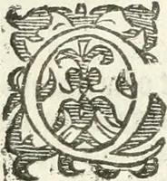 Picture 68 of 69 from Practycke der Nederlansche rechten, van de daghelijcksche soo civile als criminele questien (1645), leaf 815