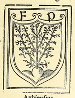 Picture 4 of 5 from Praeclara Ferdina[n]di. Cortesii de noua maris oceani Hyspania narratio sacratissimo. ac inuictissimo Carolo Romanoru[m] Imperatori semper Augusto, Hyspaniaru[m], [etc] Regi Anno Domini. M.D.XX. transmissa : in qua continentur plurima scitu, [et] admiratione digna circa egregias earu[m] p[ro]uintiaru[m] vrbes ... potissimu[m]q[ue] de celebri ciuitate Temixtitan variisq[ue] illi[us] mirabilib[us], qu[a]e lege[n]te[m] mirifice delectabu[n]t, (1524), leaf 111