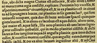 An illustration from Praeclara Ferdina[n]di. Cortesii de noua maris oceani Hyspania narratio sacratissimo. ac inuictissimo Carolo Romanoru[m] Imperatori semper Augusto, Hyspaniaru[m], [etc] Regi Anno Domini. M.D.XX. transmissa : in qua continentur plurima scitu, [et] admiratione digna circa egregias earu[m] p[ro]uintiaru[m] vrbes ... potissimu[m]q[ue] de celebri ciuitate Temixtitan variisq[ue] illi[us] mirabilib[us], qu[a]e lege[n]te[m] mirifice delectabu[n]t, (1524)