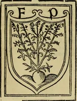 Picture 6 of 9 from Praeclara Ferdinãdi. Cortesii de noua maris oceani Hyspania narratio : sacratissimo. ac inuictissimo Carolo Romanoru imperatori semper augusto, Hyspaniaru, &c regi anno domini. M.D.XX. transmissa : in qua continentur plurima scitu, & admiratione digna circa egregias earu p[er]uintiaru vrbes, incolaru mores, pueroru sacrificia, & religiosas personas, potissimuq[ue] de celebri ciuitate Temixtitan variisq[ue] illi[us] mirabilib[us], que legete mirifice delectabut (1524), leaf 110