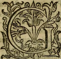 An illustration from Pratica di fabricar scene e machine ne' teatri (1638)