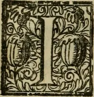 An illustration from Pratica di fabricar scene e machine ne' teatri (1638)