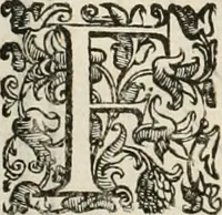 An illustration from Pratica manvale di arteglieria : nella quale si tratta della inuentione di essa, dell'ordine di condurla, & piantarla sotto à qualunque fortezza, fabricar mine da far volar in alto le fortezze, spianar le montagne, diuertir l'acque offensiue i regni & prouincie, tirar co i pezzi in molti & diuersi modi, far fuochi artificiali : con altri bellissimi secreti all'essercitio dell'arteglieria appartenenti (1586)