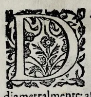 Picture 22 of 39 from Pratica uniuersale, facilissima et breue di misurare con la uista, parte prima[-II] ... (1630), leaf 146