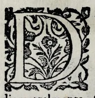 An illustration from Pratica uniuersale, facilissima et breue di misurare con la uista, parte prima[-II] ... (1630)