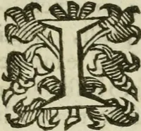 An illustration from Prattica del parallelogrammo da disegnare (1653)