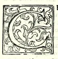 An illustration from Prattica manuale dell'artiglieria : doue si tratta dell'eccellenza, & origine dell'arte militare, e delle machine vsate da gli antichi : dell'inuentione della poluere, & artiglieria : del modo di condurla per acqua, e per terra, e piantarla in qual si voglia impresa : di fabricar le mine per mandar' in aria fortezze, e montagne : di fuochi artificiali : e di varij secreti, & importantissimi auuertimenti all'vso della guerra vtilissimi, e necessarij : e nel fine d'vn molto copioso, & importante essamine de'bombardieri ... (1606)