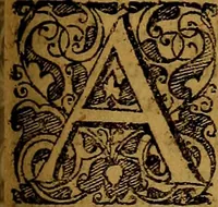 An illustration from Praxis medica curiosa : hoc est, Galeni Methodi medendi libri XIV (1680)