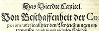 An illustration from Praxis perspectivae : das ist, von Verzeichnungen ein aussführlicher Bericht, darinnen das jenige was die Scenographi erfordert, begrieffen, vnd in welchen allerley dinge vff allerley Stände in ein Perspectivischen Auffzug zu bringen gelehret : auch das was wundersam hierbey sich begeben kan, erkläret wird ... (1615)