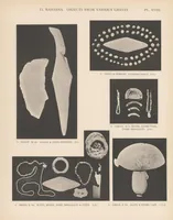 Picture 4 of 5 from Pre-dynastic cemetery at El Mahasna (1911), leaf 89