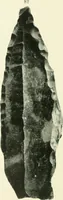 An illustration from Pre-historic times: as illustrated by ancient remains and the manners and customs of modern savages (1900)