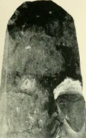 An illustration from Pre-historic times: as illustrated by ancient remains and the manners and customs of modern savages (1900)