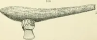 Picture 50 of 139 from Pre-historic times: as illustrated by ancient remains and the manners and customs of modern savages (1900), leaf 157
