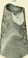 Picture 51 of 139 from Pre-historic times: as illustrated by ancient remains and the manners and customs of modern savages (1900), leaf 161