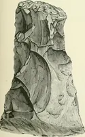 An illustration from Pre-historic times: as illustrated by ancient remains and the manners and customs of modern savages (1900)