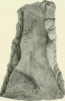 An illustration from Pre-historic times: as illustrated by ancient remains and the manners and customs of modern savages (1900)