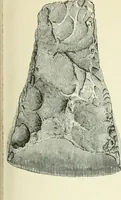 An illustration from Pre-historic times: as illustrated by ancient remains and the manners and customs of modern savages (1900)