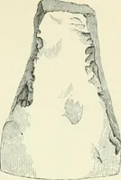 An illustration from Pre-historic times: as illustrated by ancient remains and the manners and customs of modern savages (1900)