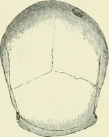 An illustration from Pre-historic times: as illustrated by ancient remains and the manners and customs of modern savages (1900)