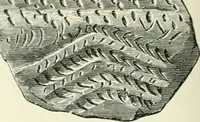 An illustration from Pre-historic times: as illustrated by ancient remains and the manners and customs of modern savages (1900)